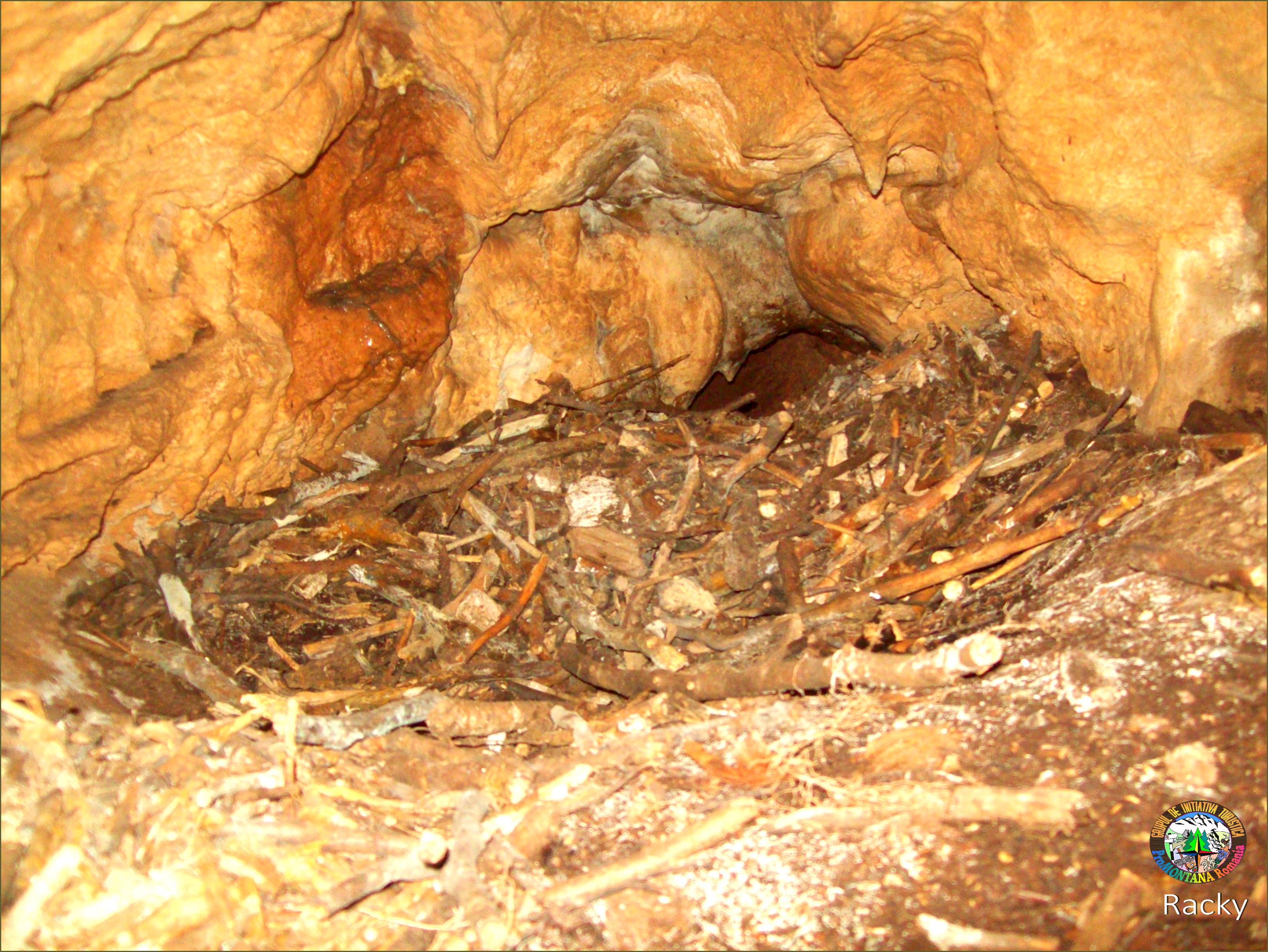 foto : Racaru Constantin 